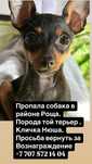 Отдам за хорошую шоколадку