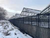 теплица крестьянское хозяйство