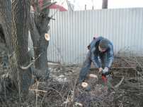 Спилка деревьев Выкарчовка пней
