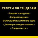 Услуги по госзакупкам, услуги по тендерам