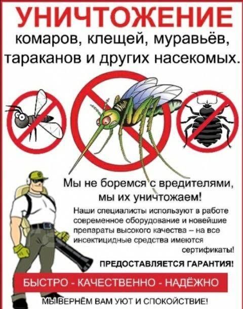 Дезинсекция дезинфекция дератизация насекомые тараканы клопы блохи