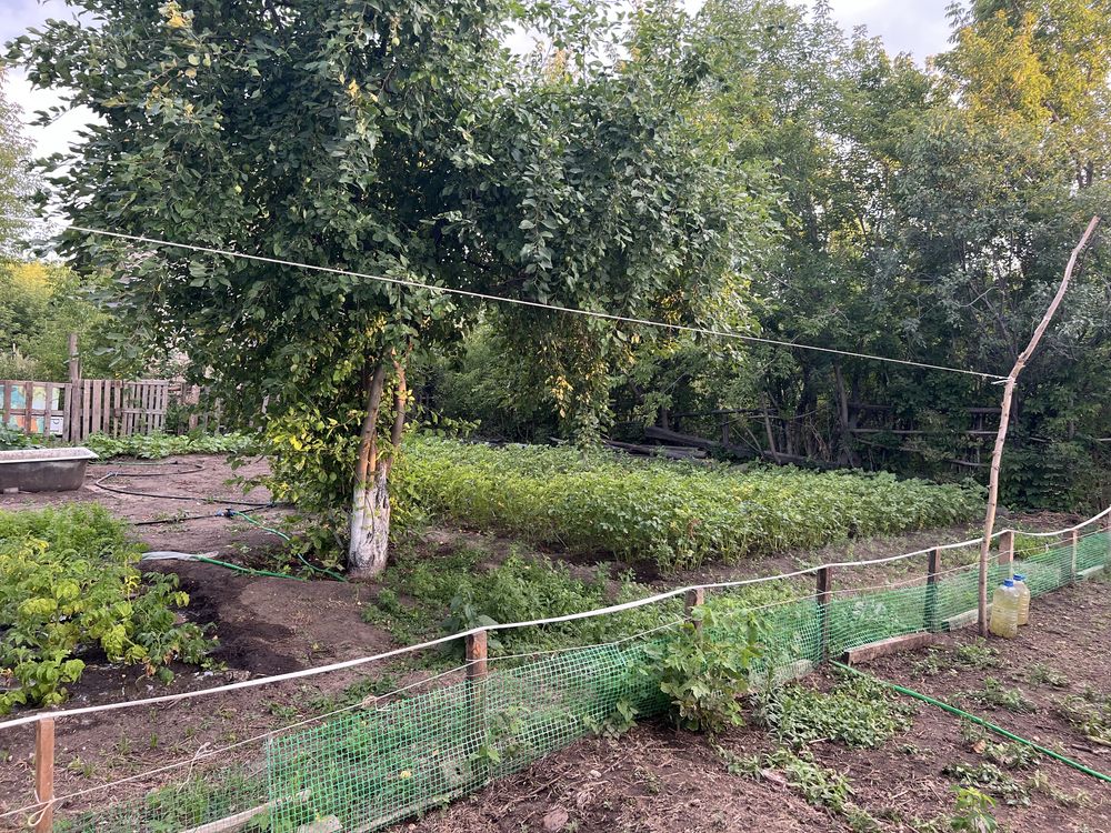 Продам дачу, Дача сатам