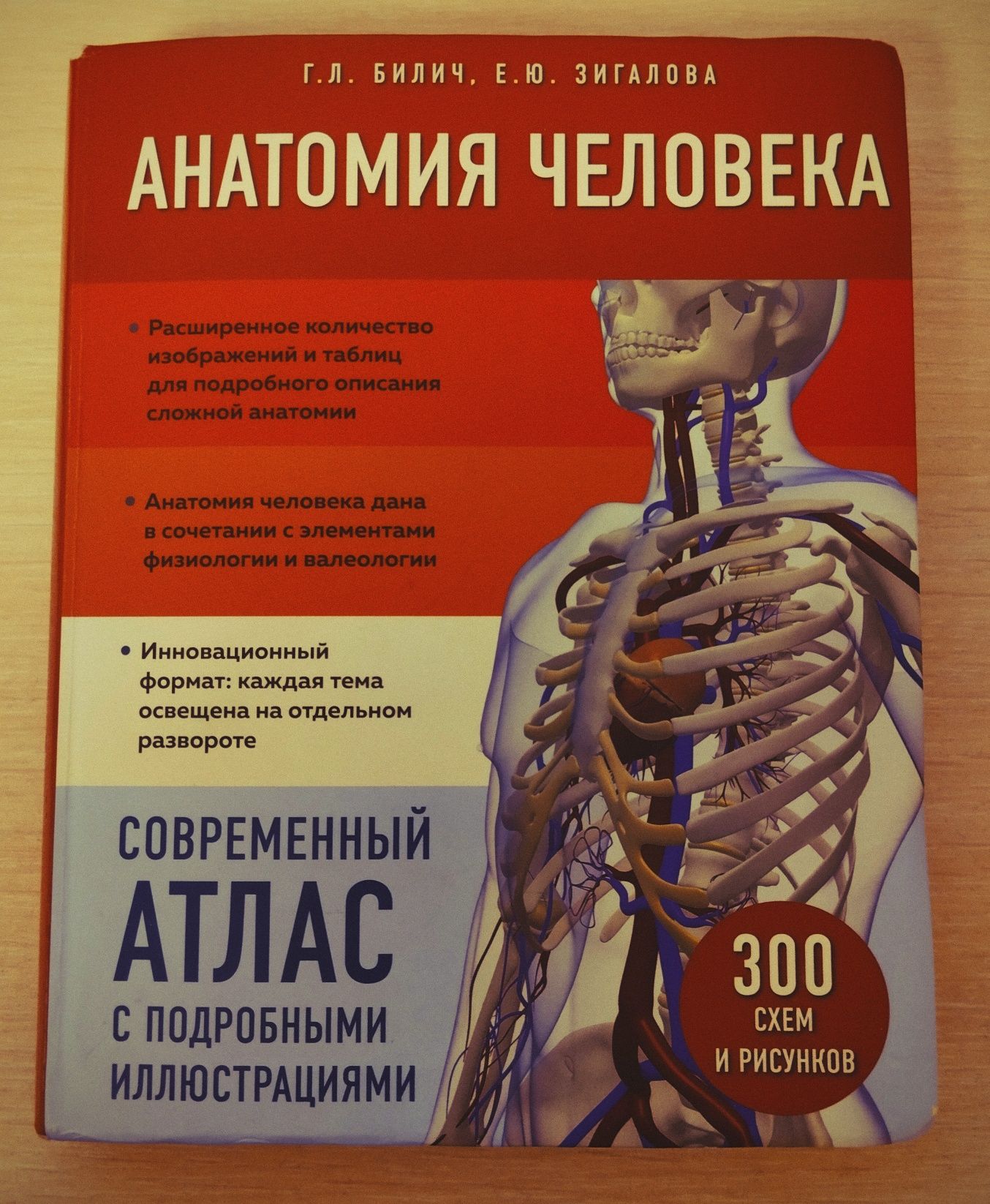 Атлас анатомии человека