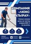 Чистка ковров Люкс