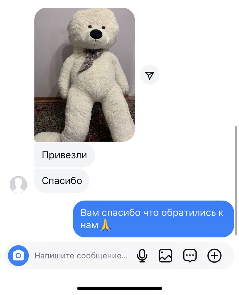 Плюшевые мишки на любой вкус! Доставка бесплатная / KASPI RED