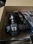 Canon R + 35mm rf macro 1.8