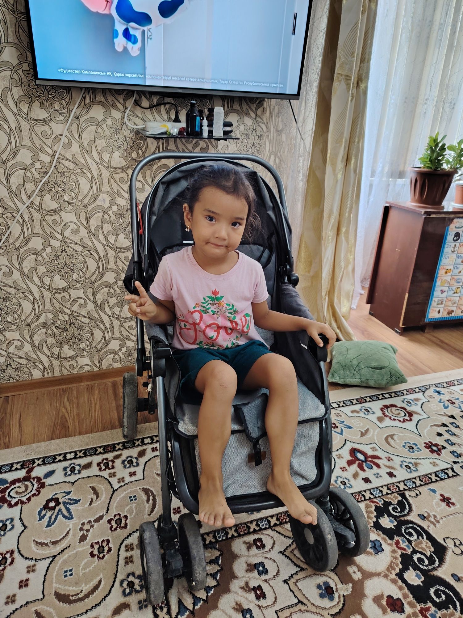 Коляска фирмы Барс