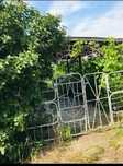Срочно продам дачу в садовом обществе Элеваторщик, 6 сот.,  с документ