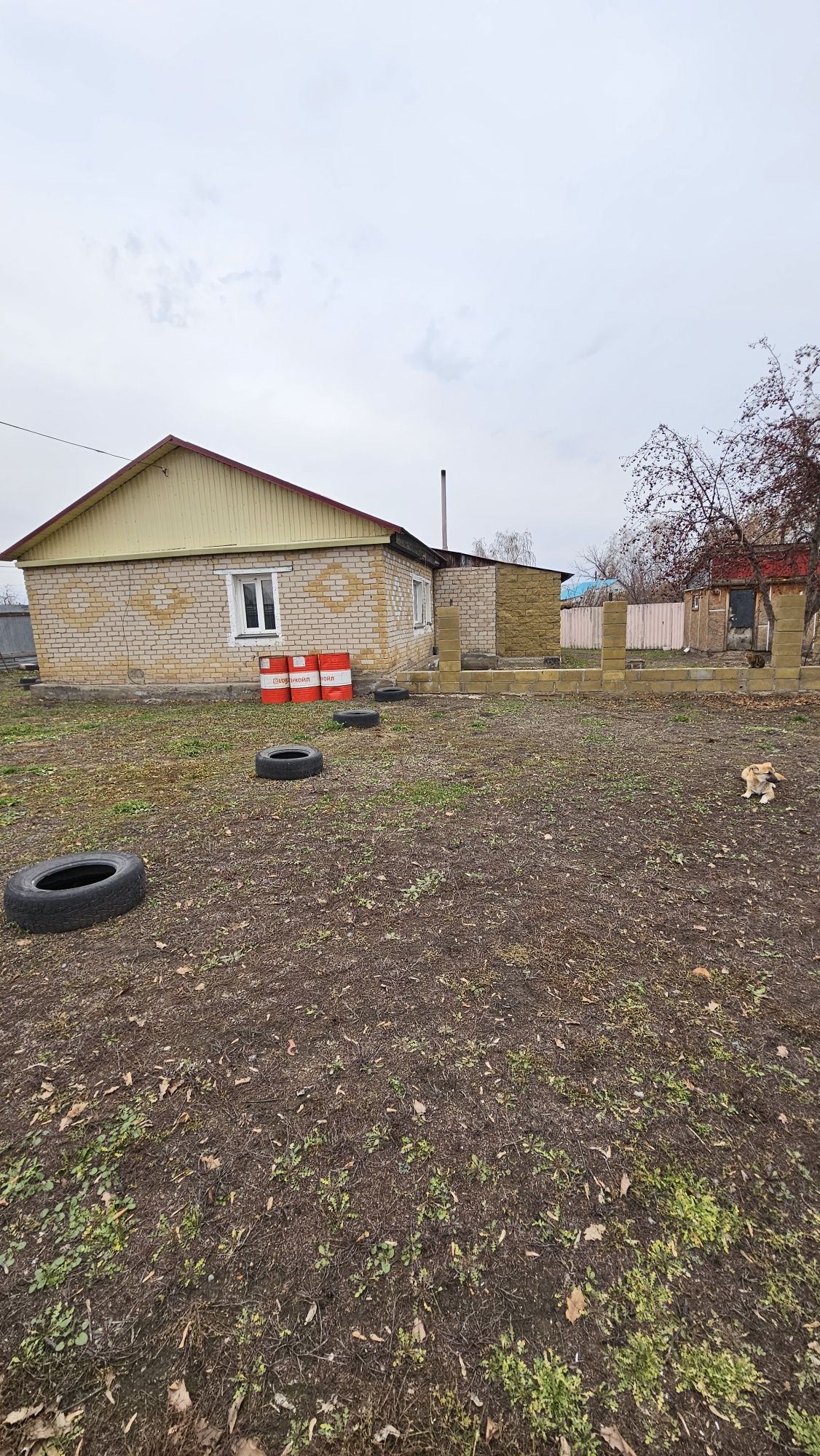 Продам дом с большим участком в Прибрежном