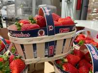 Продам корзики для ягод и фруктов.