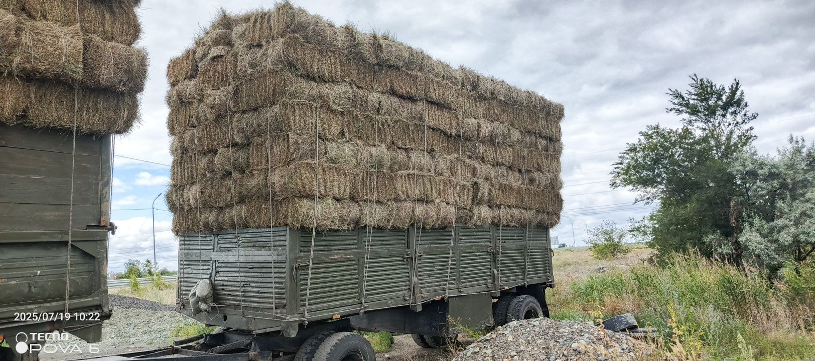 Шөп! Сено разнотравье