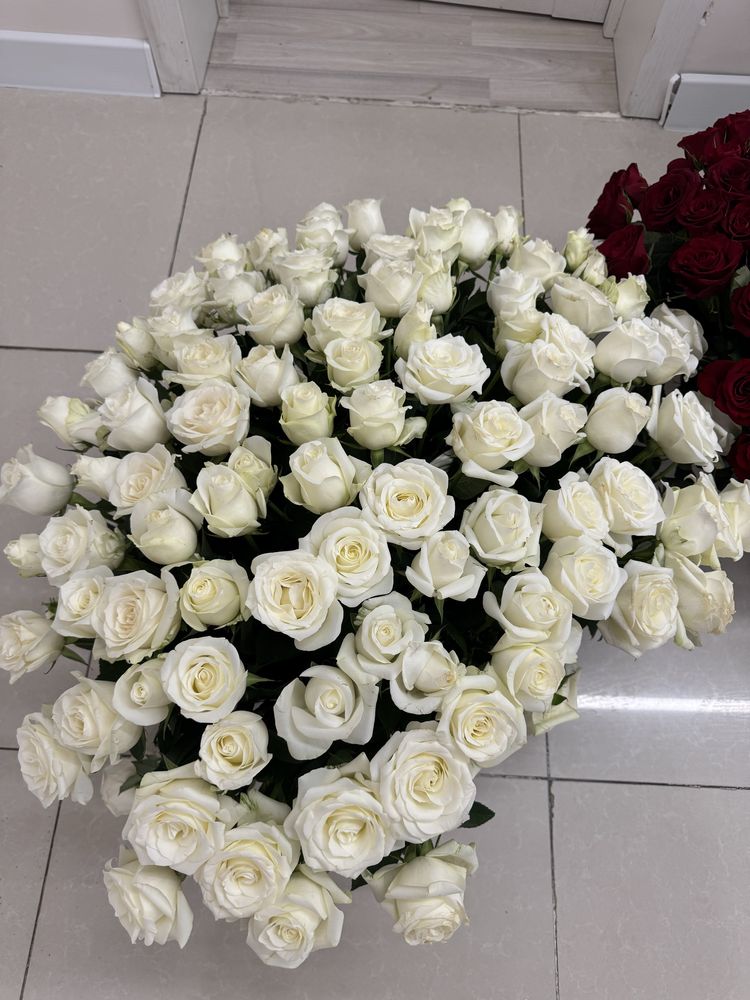 Свежие розы  белые розовые красные