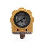 Электроконтактный манометр Е06-2.2KW-220VAC-NPT1/4 (10 бар)
