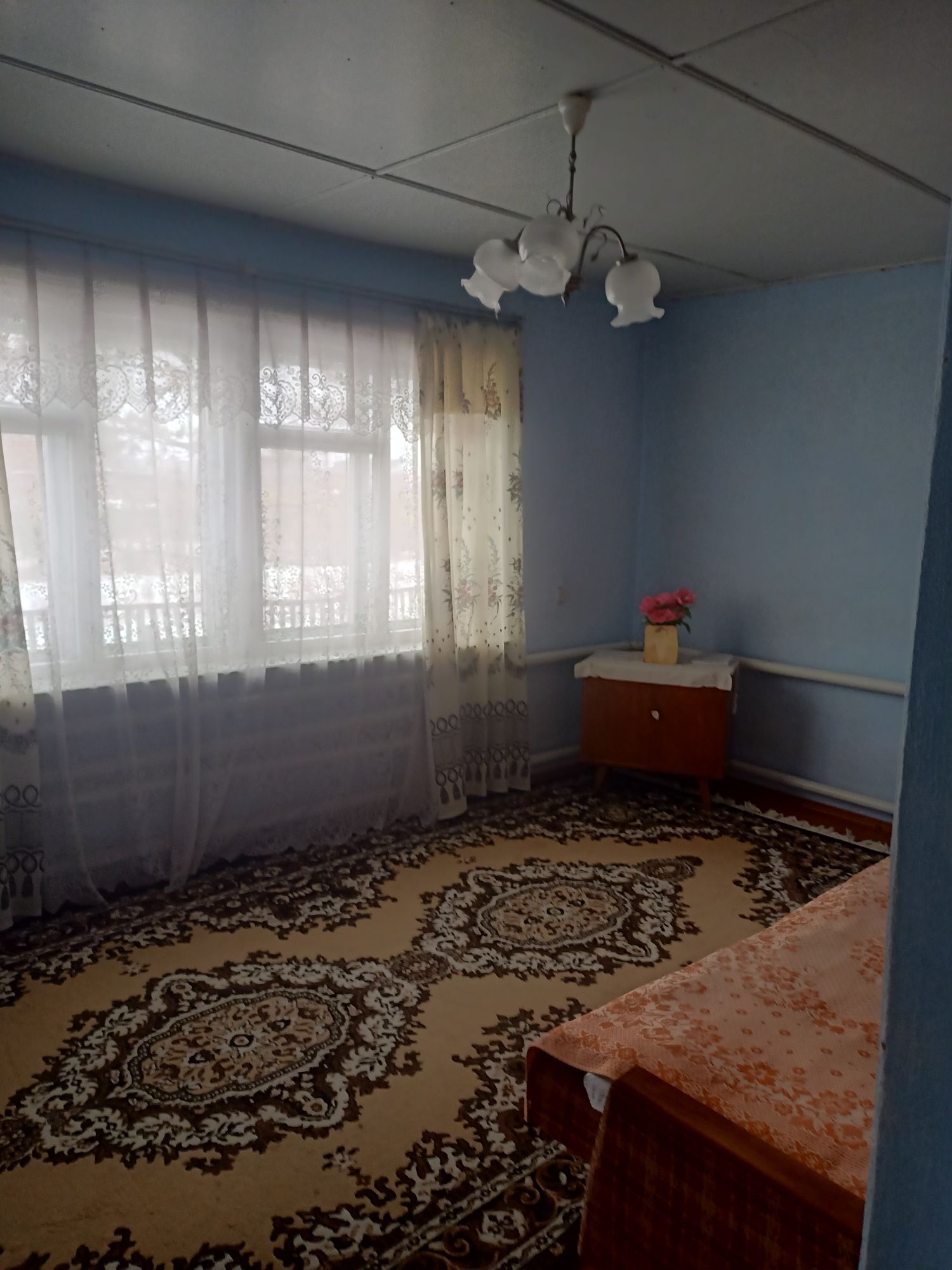 Продается дом в Садчиковке