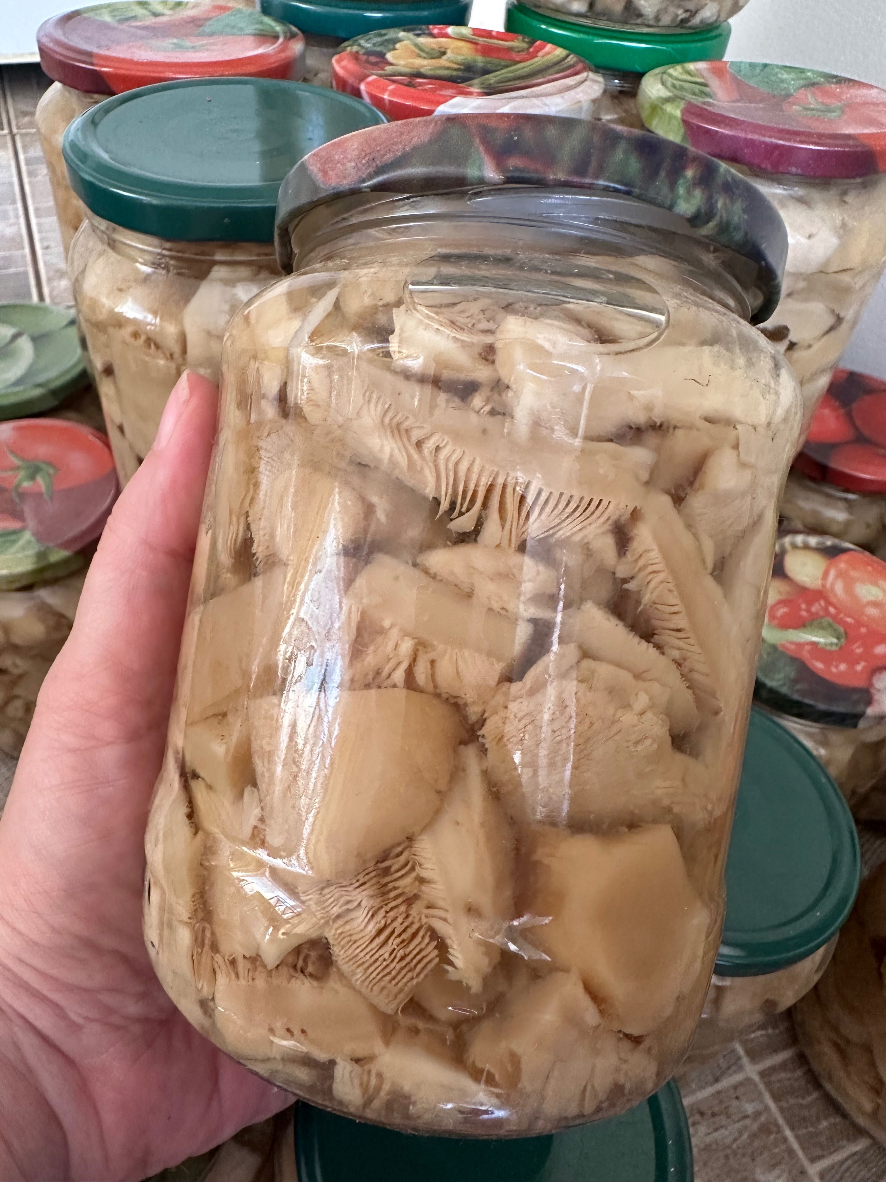 Белые степные грибы маринованные