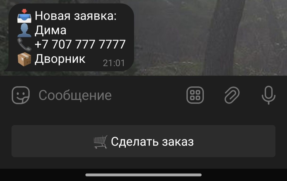 Создам Telegram-бот для приёма заказов | Быстро и надёжно