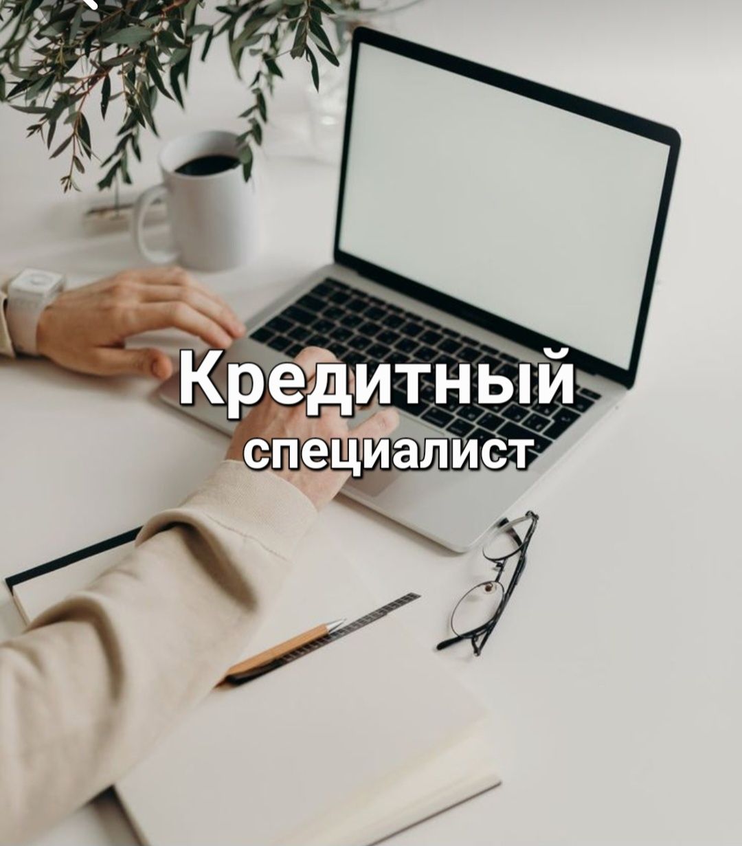 Арест шешу. Алимент. Микрозайм, юРидический , енпф, График штраф