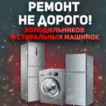 ремонт ветринных холодильников и стиральных машин