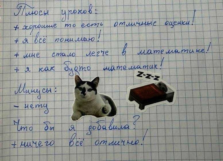 Репетитор по математике и физике (Основы программирование)
