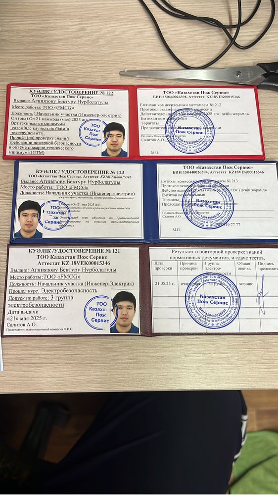 Испытание всех видов лестниц [ с выдачей протокола испытания)