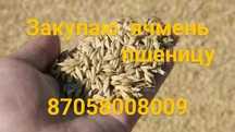 Закупаю   ячмень