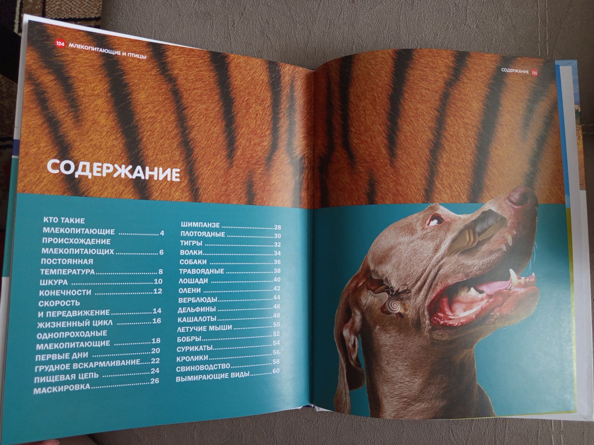 Продам детскую энциклопедию