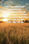 Элитные семена озимой пшеницы