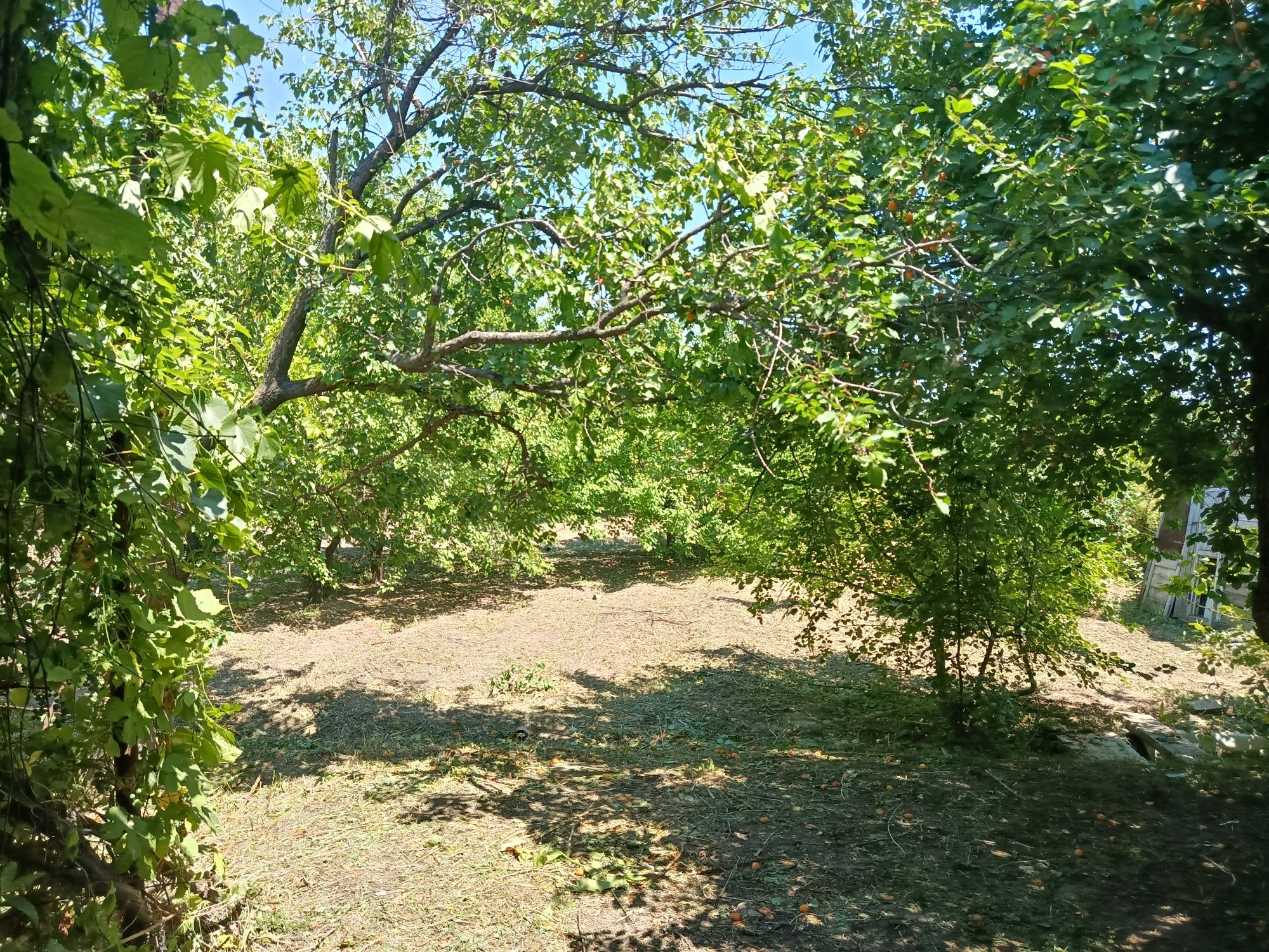 Продам дачу 10 соток