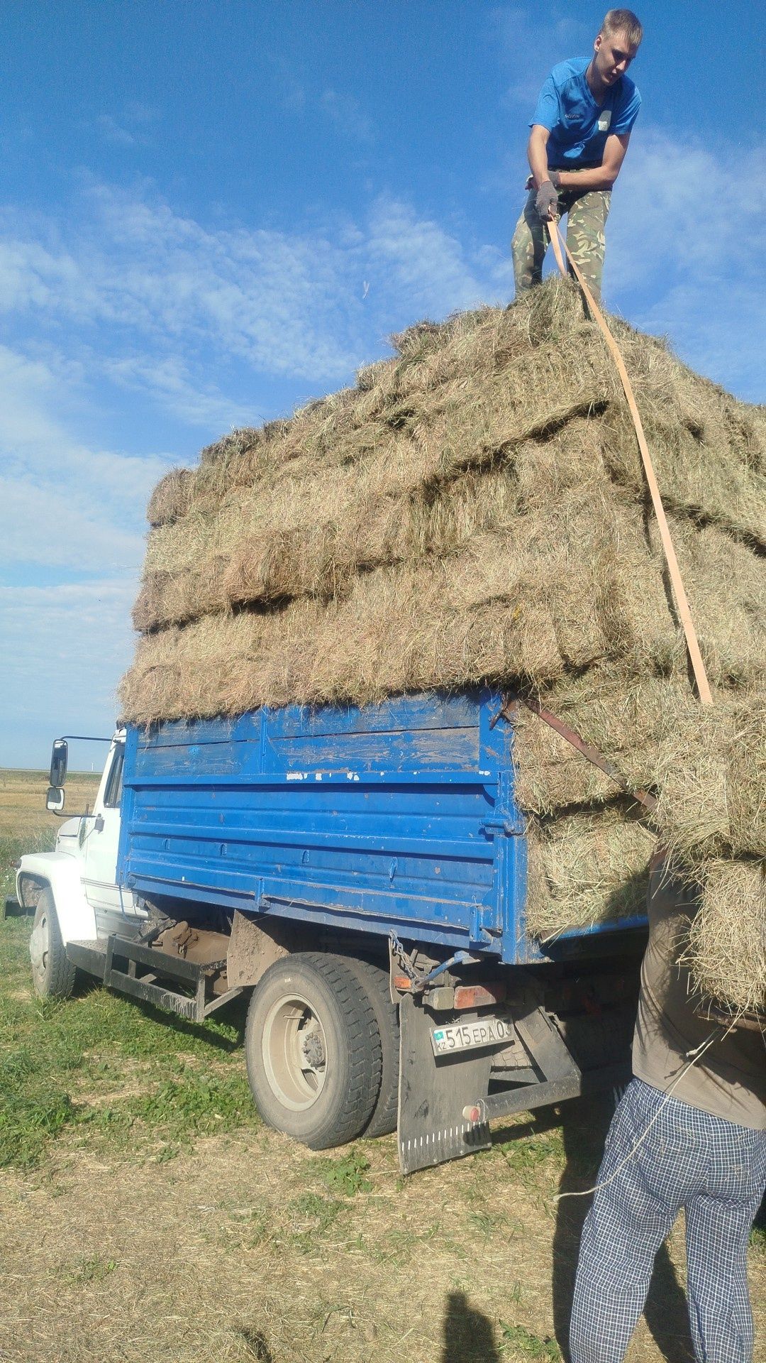 Продам сено в квадратных тюках