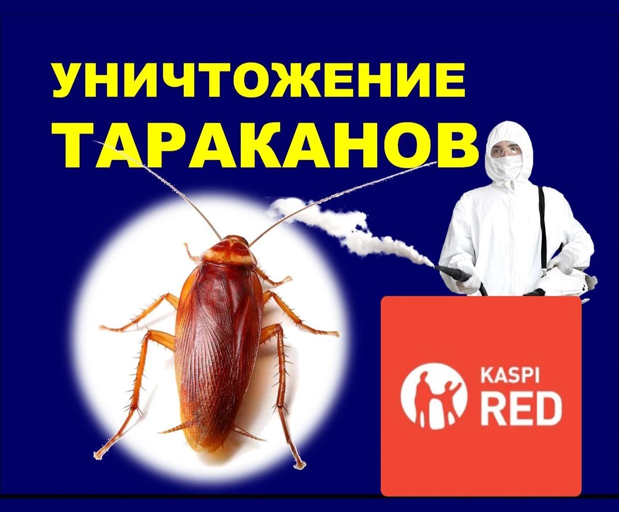 Уничтожение насекомых тараканы клопы блохи крыса мыши и т.д.