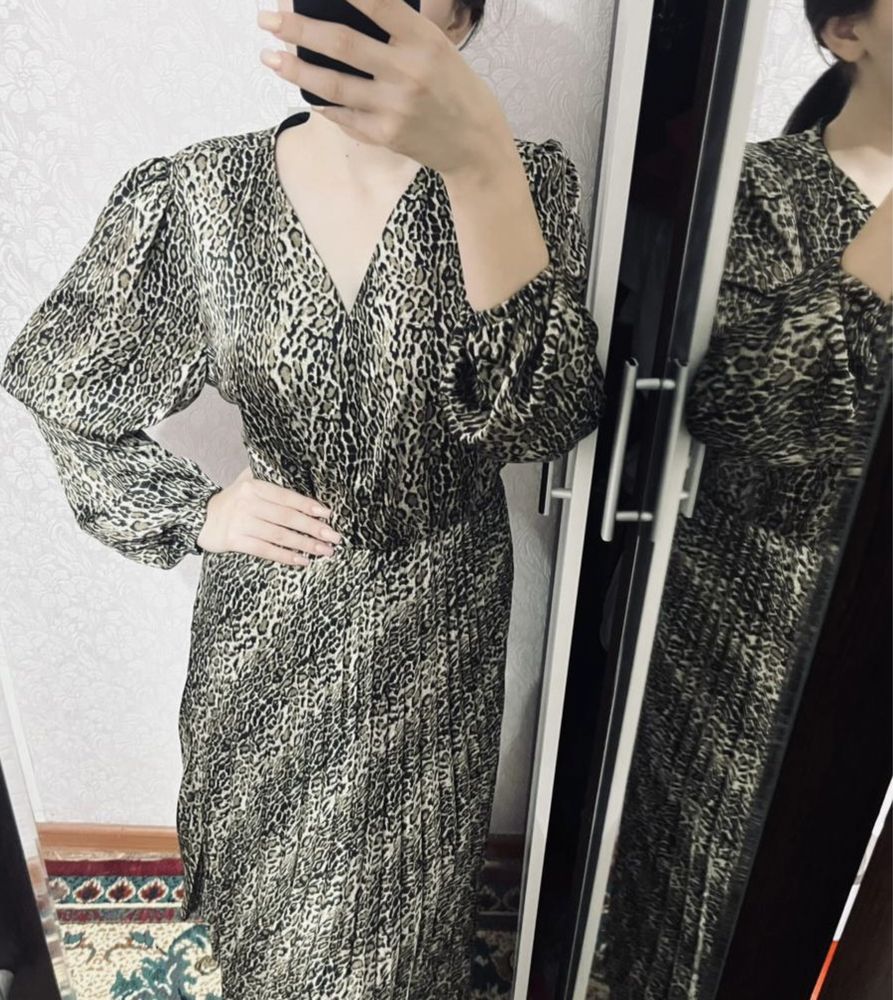 Коилек леопардовый