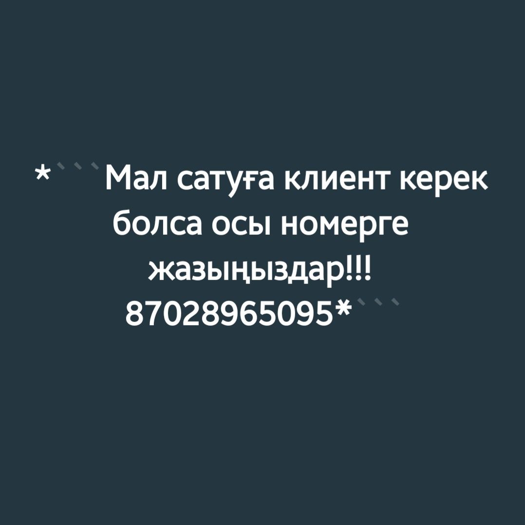 Мал сатуға клиент керек десеңіз маған жазыңыз!