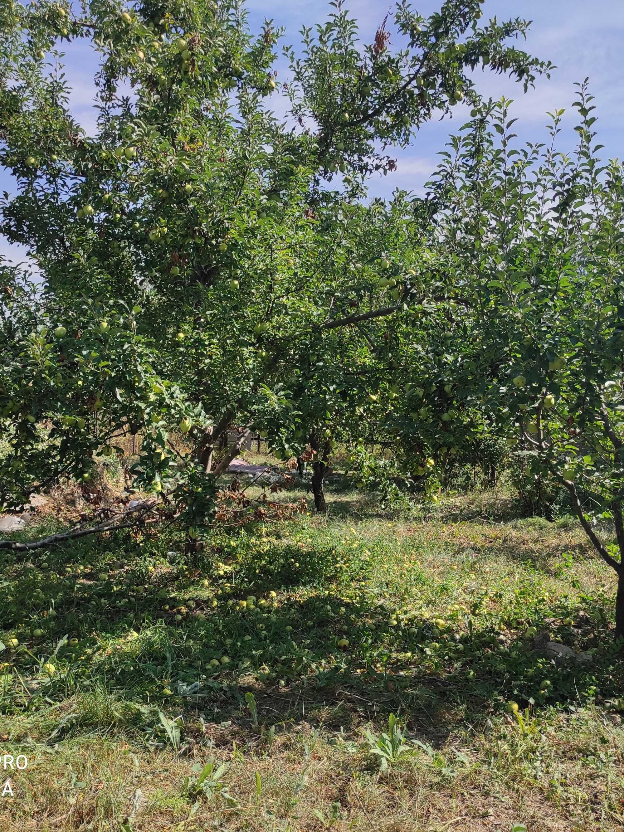 Продам 5-комн. дом 78,8 кв.метров. 15 соток.