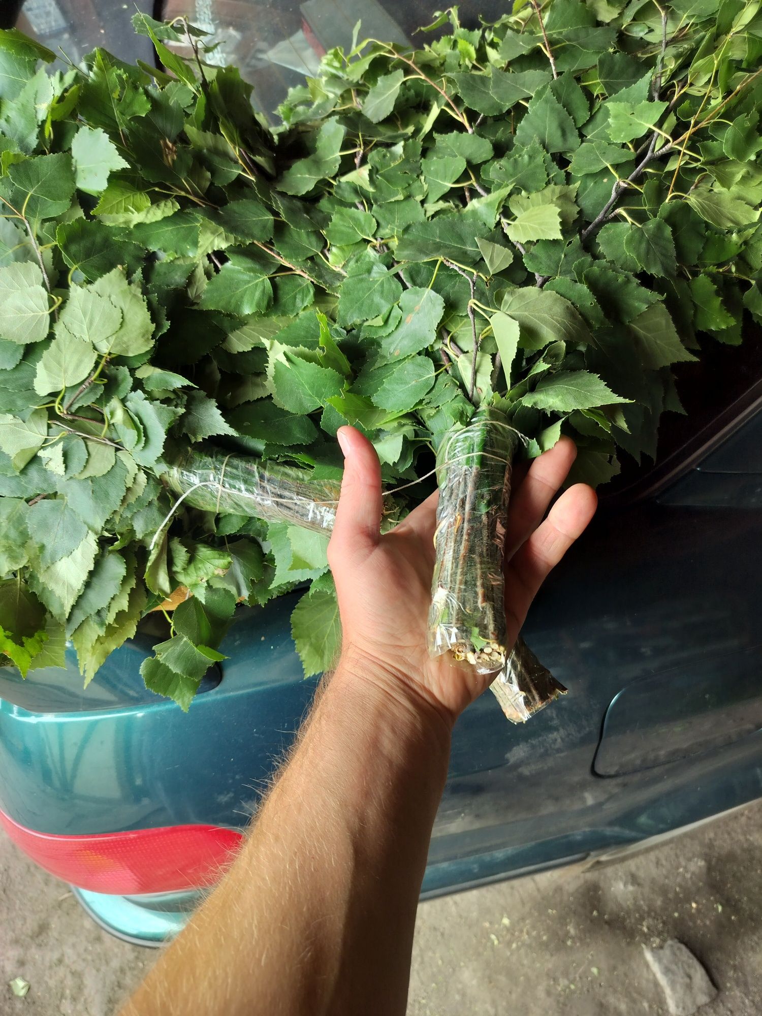 Продам берёзовые веники для бани