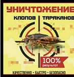 Дезинфекция от клопов, тараканов г.Кызылорда. Работаем на результат!