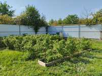 Продам дом в п.Кирпичный (Кедровая) 10 соток