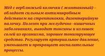 Мед Жантак натуральный Свежая выкачка