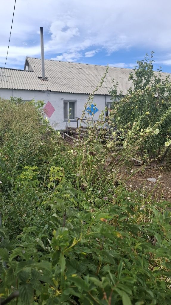 Очень Срочно! Продам Дом у озера