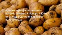 Картофель твердый