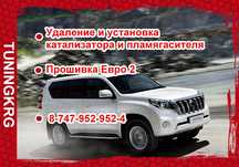 Удаление и установка катализаторов, сажевых фильтров, EGR, чип тюнинг.
