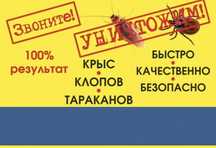 Дезинфекция от клопов г. Кызылорда Результат 100% Работаем на совесть