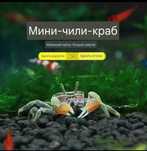 Мини Чили краб на заказ