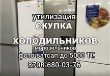 Холодильник норм