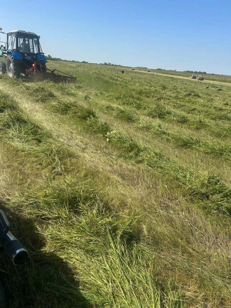 Продам сено луговое 2025 г