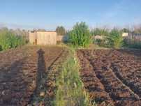 Продам вспаханую дачу 5 соток