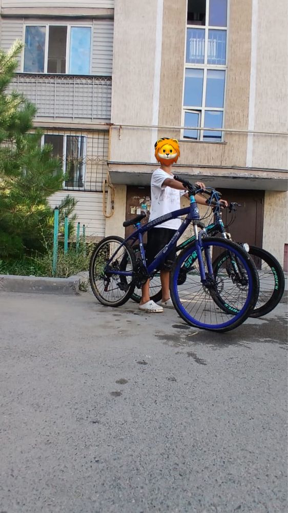Кышкентай велик