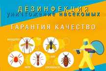Уничтожение насекомых, тараканов