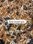 Корма для птиц