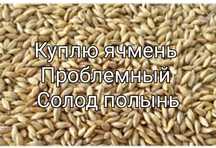 Ячмень проблемный