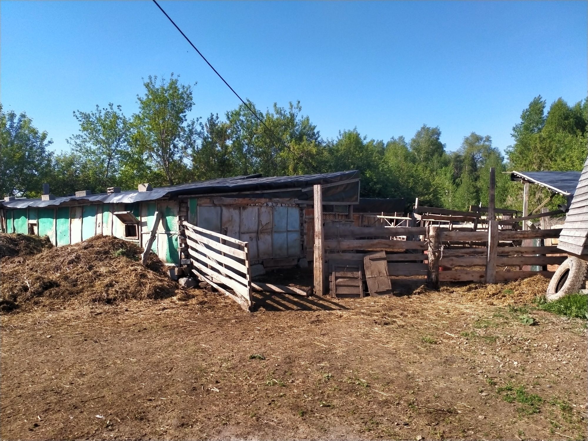 Продам крестьянское хозяйство, фазенда, усадьба. п. Белоусовка.